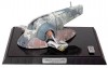 Filename=code-3-slave-i.jpg
Filesize=28KiB
Dimensions=565x360
Date added=Jul 15, 2011 code-3-slave-i.jpg