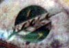 Filename=episode3-mandalorian-helmet-large.jpg
Filesize=26KiB
Dimensions=320x223
Date added=Dec 20, 2013 episode3-mandalorian-helmet-large.jpg