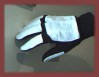 Filename=gloves2.jpg
Filesize=7KiB
Dimensions=220x170
Date added=Mar 08, 2014 gloves2.jpg