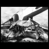 Filename=jcalum-white-boba-fett-dragons.jpg
Filesize=116KiB
Dimensions=1024x1024
Date added=Jan 27, 2014 jcalum-white-boba-fett-dragons.jpg