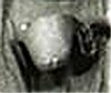 Filename=left-02.jpg
Filesize=18KiB
Dimensions=300x252
Date added=Mar 08, 2014 left-02.jpg