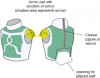 Filename=pattern-02.jpg
Filesize=12KiB
Dimensions=331x260
Date added=Mar 08, 2014 pattern-02.jpg
