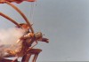 Filename=propstore_fett4.jpg
Filesize=111KiB
Dimensions=710x498
Date added=Sep 08, 2011 propstore_fett4.jpg