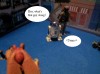 Filename=Life_with_Boba_Fett_15_by_Fallen8800.jpg
Filesize=164KiB
Dimensions=508x378
Date added=Feb 01, 2008 Life_with_Boba_Fett_15_by_Fallen8800.jpg