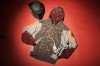 Filename=ecko-fett_2007-hires.jpg
Filesize=75KiB
Dimensions=1000x666
Date added=Nov 16, 2007 ecko-fett_2007-hires.jpg