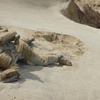 Boba Fett Collapsed Outside the Sarlacc After Escaping