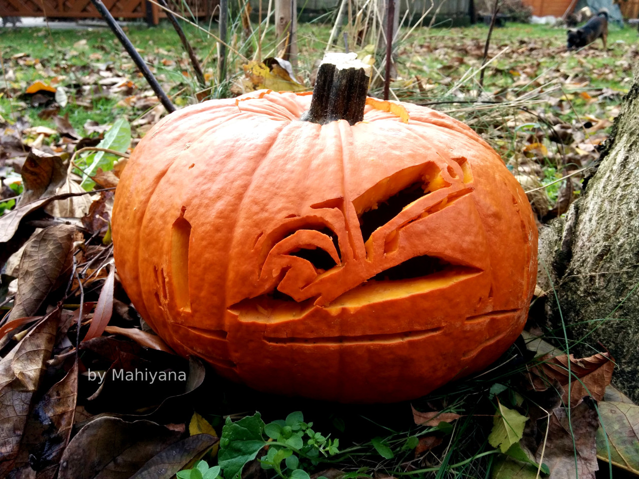 Slave I Pumpkin Carving By Mahiyana Image Galleries Boba Fett Fan Club Slave I Pumpkin Carving By Mahiyana Image Galleries Boba Fett Fan Club