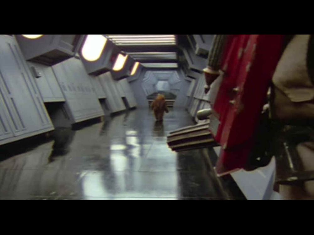 return of the ewok