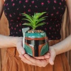 Silver Buffalo Boba Fett Ceramic Mini Planter