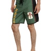 Boba Fett Swim Trunks (2016)