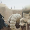 The Book of Boba Fett Season 1 Episode 3 (&quot;The...