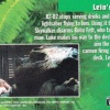 Topps Star Wars Trilogy: The Complete Story Widevision...
