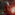 BOUNTYHUNTER66 Avatar