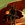 IrishFett Avatar