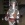 So_wizard86 Avatar