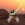 JuddSkywalker Avatar