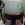 Chrischufett Avatar