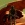thewerewolf Avatar