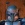 Avatar for BFFC member TheTrueMandalor