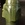 Topps Boba Fett Candy Head, Front (1980)