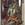 Unleashed Boba Fett, Repack (Target Exclusive) (2006)