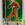 Star Wars Force Attax Series 3 #238 Boba Fett