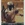 Topps Star Wars Chrome Perspectives: Jedi vs Sith #33-J Jango Fett (2015)