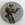 Boba Fett Button (1980)
