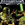 Masters of Teras Kasi (1997) Promo Art