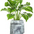 Boba Fett Polystone Plant Pot
