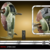 The Vintage Collection Slave I (2020 Version)