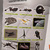tiptoi Star Wars Book Episode I-VI